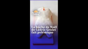 La bûche de Noël de Cédric Grolet raillée pour son aspect et son prix