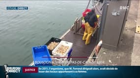 "Ca sera très dur de continuer à vivre de la pêche", les "petits" pêcheurs de Boulogne-sur-Mer inquiets en cas de Brexit dur