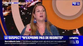 Nogent : l'intrigant profil du suspect - 11/06