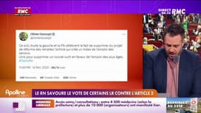 Le RN savoure le vote de certains LR contre l'article 2