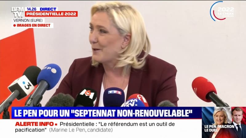 Marine Le Pen sur l'article 49-3: 