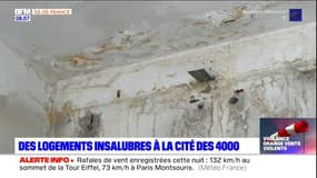 Humidité, moisissure... Des logements insalubres à la cité des 4000 à La Courneuve