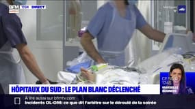 Covid-19: cinq cas du variant Omicron détectés en Provence-Alpes-Côte d'Azur par l'IHU Méditerranée