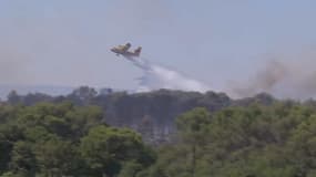 Un mégot de cigarette aurait embrasé plus de 800 hectares de forêt dans les Bouches-du-Rhône