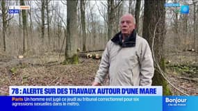 Yvelines: une plainte déposée contre l'ONF pour des coupes d'arbres autour d'une mare
