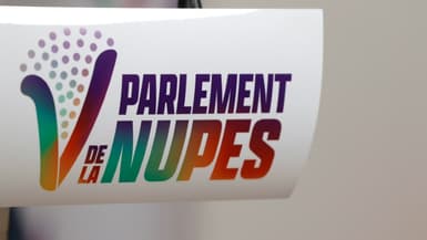 Le logo de la Nupes (Nouvelle Union Populaire Ecologique et Sociale), le 7 juin 2022