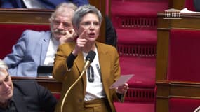 Sandrine Rousseau, députée  écologiste, le 15 février 2023 dans l'hémicycle de l'Assemblée nationale