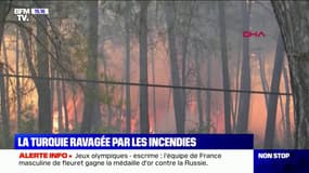 Depuis quatre jours, la Turquie est ravagée par les feux de forêts