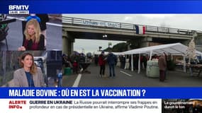 Report du Mercosur: quelles conséquences ?