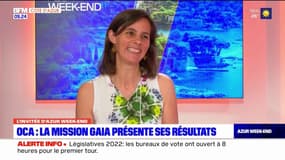 Mission Gaia: qu'apporte le groupe de recherche de l'Observatoire de la Côte d'Azur?