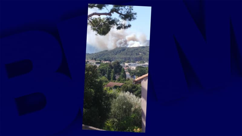 Un incendie s'est déclaré mardi 13 juillet matin à Marseille, dans le secteur d'Allauch. 