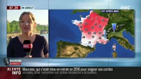 L'ail, remède naturel : une étude scientifique vient de percer (en partie) ses mystères 