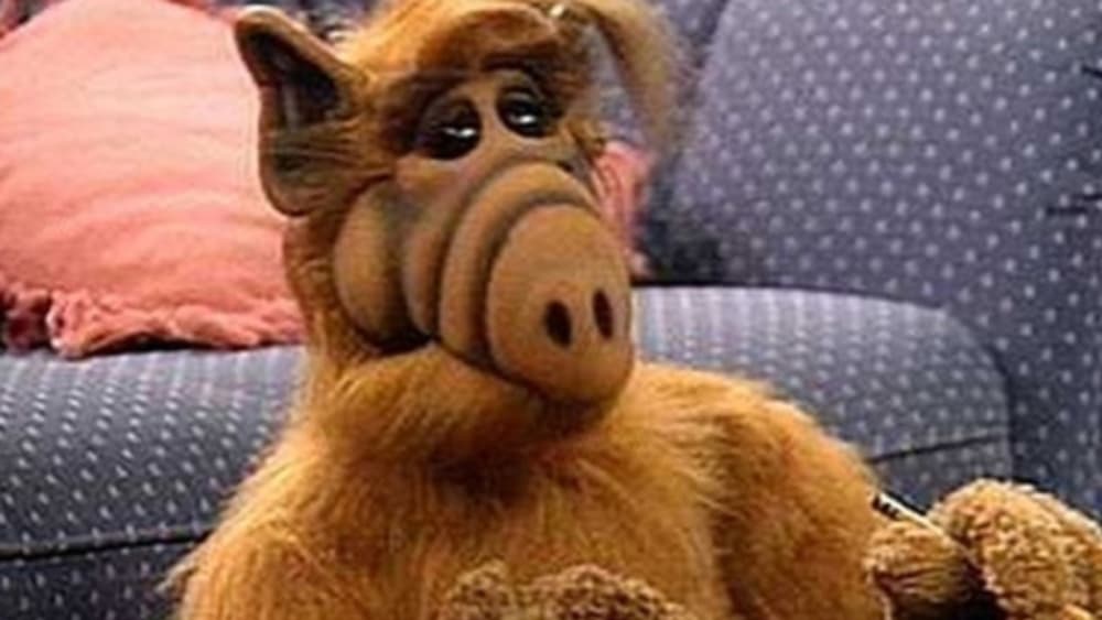Alf Alf