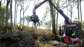 Des travailleurs préparent le terrain pour la construction du barrage de Sivens, le 9 septembre 2014 près de Gaillac, dans le Tarn.