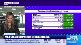 BFM Crypto : Mea culpa du patron de Blackrock - 17/07