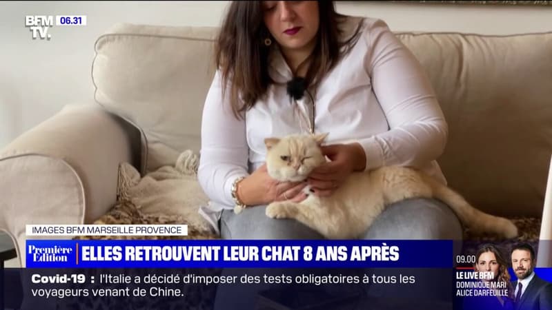 Cette famille marseillaise retrouve son chat Fuschia 8 ans après sa disparation
