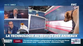 "C'est déjà demain" : La technologie au service des animaux