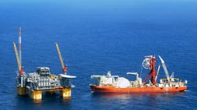 Technip va s'occuper de la partie ingénierie, construction, installation et pré-mise en service du projet.