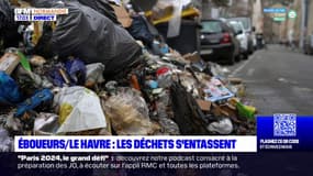 Réforme des retraites: les poubelles s'entassent au Havre