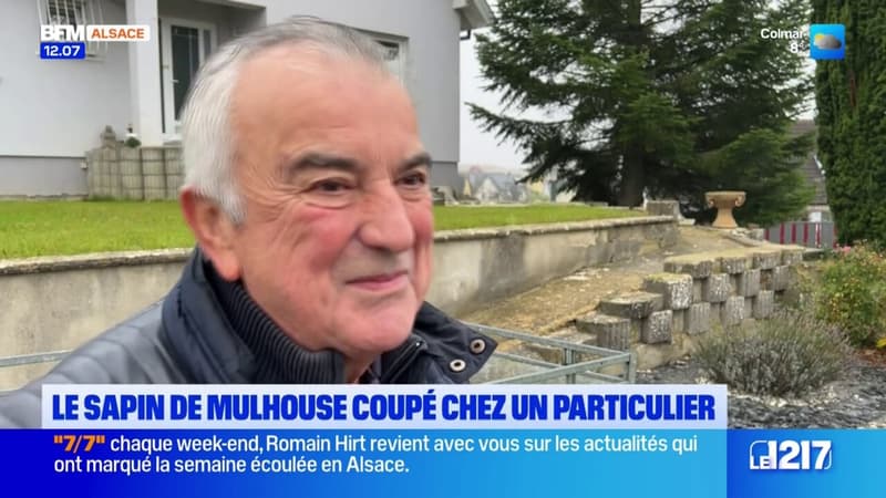 Mulhouse: le sapin de la place de la Réunion prélevé dans le jardin d'un maire