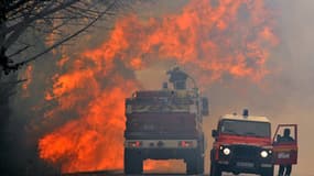 Les pompiers de Gironde en lutte contre l'incendie qui a ravagé 550 hectares de fôret à Lacanau