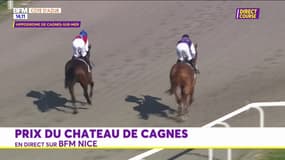 Courses hippiques: revivez le Prix du Château de Cagnes R4C3