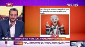 L'histoire de Charles Magnien : Dire des gros mots aurait des nombreuses vertus - 07/11
