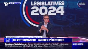"Je me sens lésée par mon propre pays": Maryline, travailleuse frontalière, explique pourquoi elle vote pour le RN aux législatives 