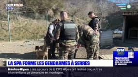 Alpes-de-Haute-Provence: la SPA forme les gendarmes à Serres