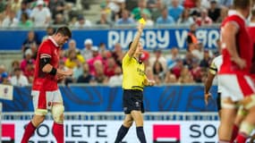 Matthew Carley, l'arbitre de pays de Galles-Fidji à la Coupe du monde de rugby, le 10 septembre 2023.