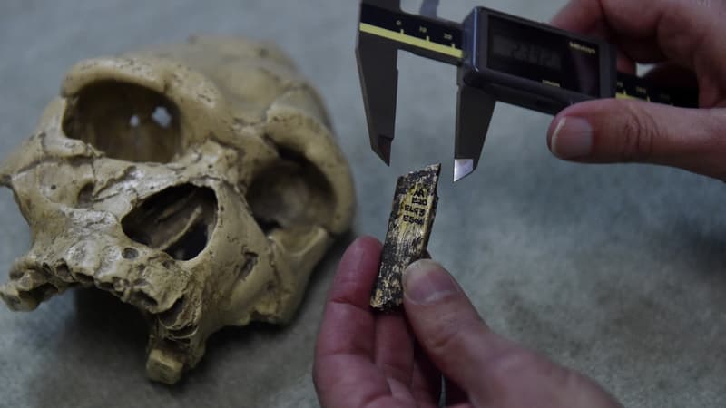 Grotte de Tautavel: un bout d'ossement rare vieux de 450.000 ans identifié
