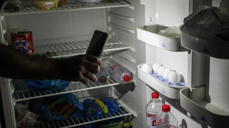 Des centaines de cadavres de poulets, des milliers de litres de lait jetés et un prix du poisson qui double: en Tunisie, les délestages a répétition pénalisent des filières entières de l'agroalimentaire