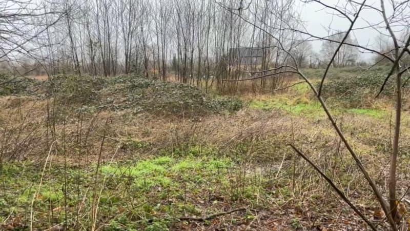 Double meurtre dans le Calvados: le suspect mis en examen et placé en détention provisoire