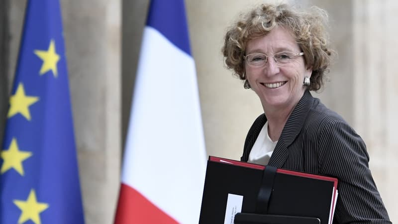 Muriel Pénicaud, la ministre du Travail, affirme que les fuites dans la presse sur la réforme du code du travail n'ont "aucun intérêt". 