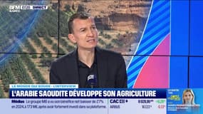 Filière laitière, dattes ou camélidés... L'Arabie Saoudite veut développer son agriculture malgré des freins géographiques
