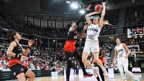 ASVEL-Villeneuve d'Ascq