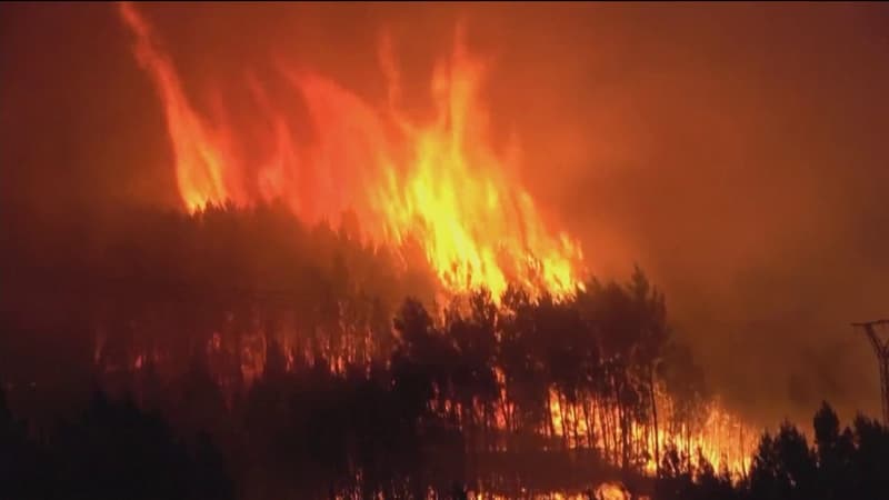 Espagne: le feu de forêt qui a ravagé près de 12.000 hectares dans l'ouest du pays est 