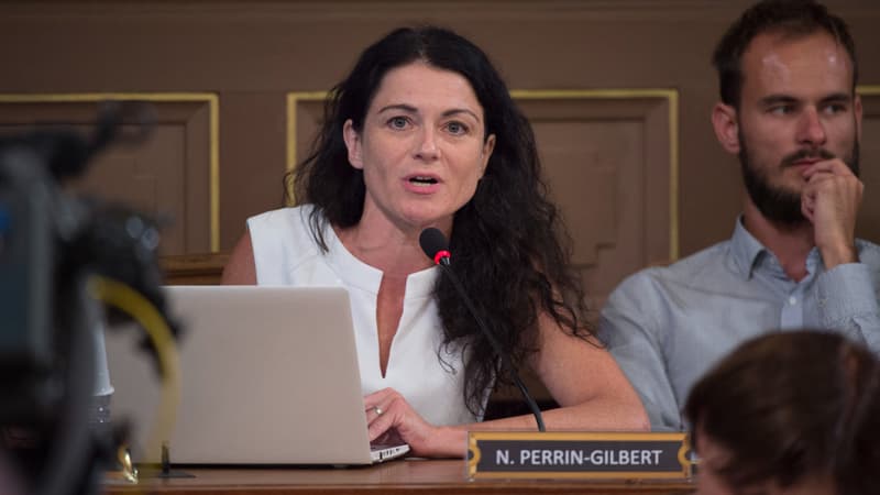 Nathalie Perrin-Gilbert, ancienne adjointe à la culture à Lyon, le 17 juillet 2017.