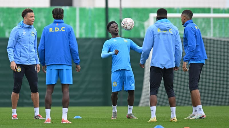 Les Léopards de la RDC