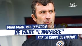 Coupe de France : "Pas d'impasse", Pitau met en garde ses joueurs avant Pau - Montpellier