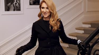 Céline Dion se sépare de ses biens immobiliers.