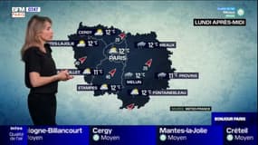 Météo Paris-Île de France du 27 décembre: des nuages et de la pluie ce lundi en Île-de-France mais des températures douces