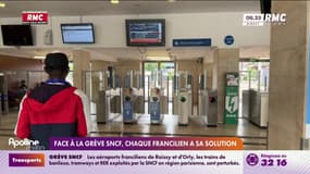 Face à la grève SNCF, chaque Francilien a sa solution