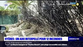 Hyères: un adolescent interpellé pour douze incendies