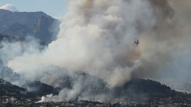 Le feu de forêt et de broussailles à Carros, près de Nice, le 24 juillet 2017. 