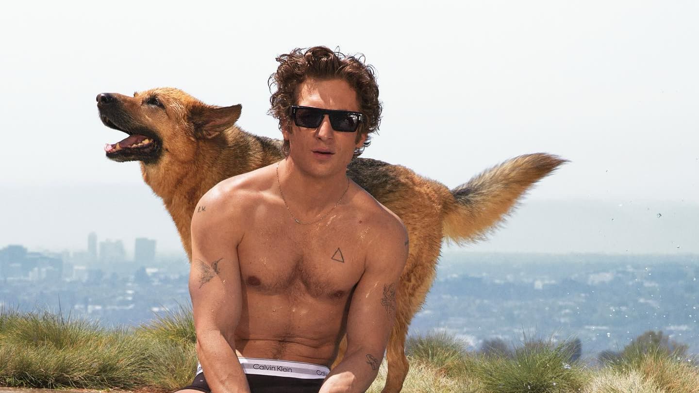 Jeremy Allen White, Calvin Klein Jeremy Allen White, Calvin Klein
