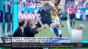 Coupe du monde : Rolland Courbis milite pour une nouvelle règle d'arbitrage ! 