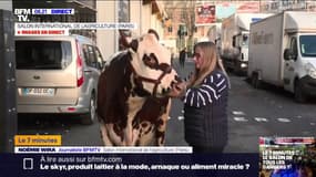 "Oreillette", la vache égérie du Salon de l'agriculture, est arrivée sur place