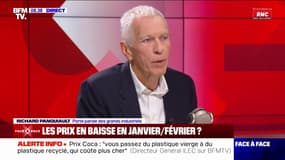 Inflation: "Je ne suis pas responsable de la façon dont la grande distribution marge" affirme Richard Panquiault, porte-parole des grands industriels