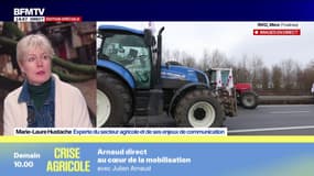 Crise agricole: Marie-Laure Hustache, experte du secteur agricole, évoque "un choc des cultures" entre les agriculteurs et un "monde technocratique" 